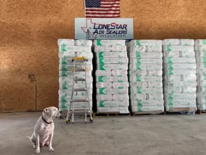 Lonestar poster and dog